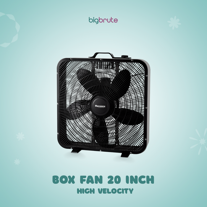 Big Brute Box Fan 20" High Velocity